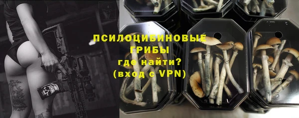 экстази Нязепетровск