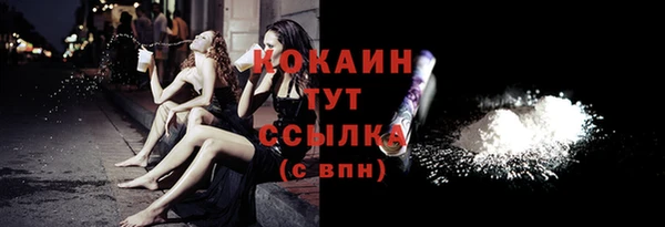 молекула духа Болхов