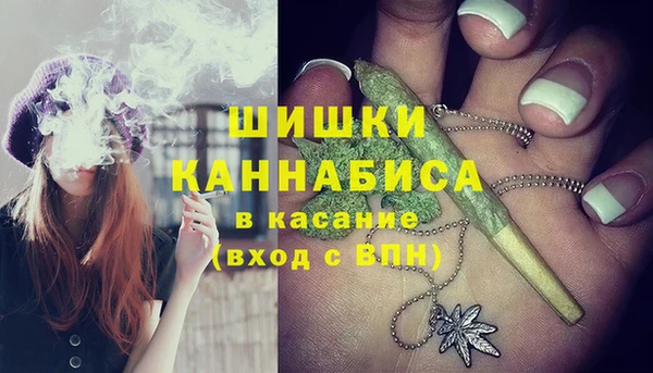 молекула духа Болхов
