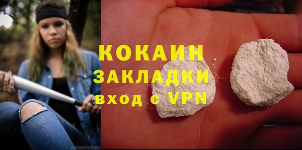 PSILOCYBIN Болотное